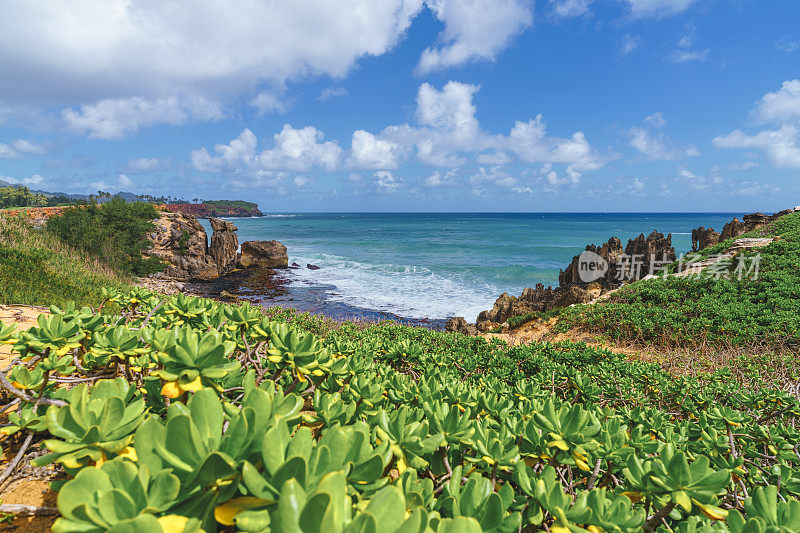 Mahaulepu trail Koloa Poipu Waiopili Heiau位于美国夏威夷考艾岛的粗糙海岸线